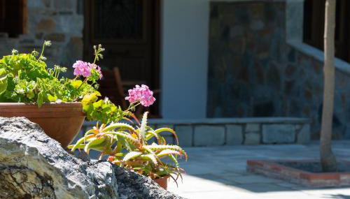 Garden House Psarogiannis - Foto 5