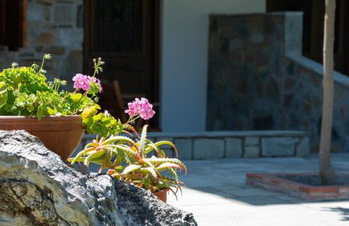 Garden House Psarogiannis - Foto 5