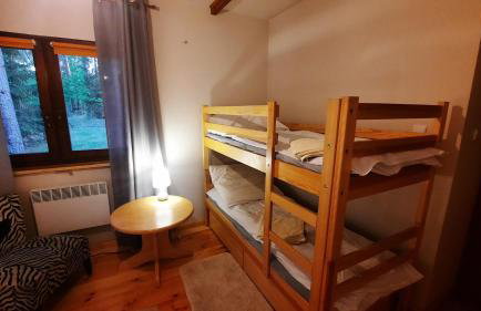 Między Sosnami - Foto 23