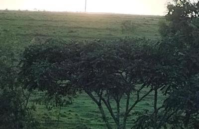 Pousada Vida feliz - Foto 44