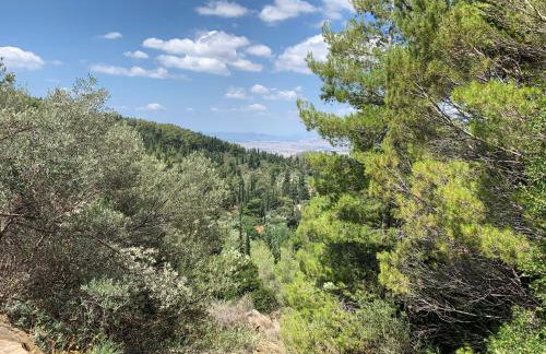 Lillian’s House - Foto 70