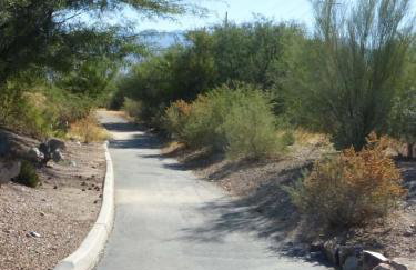 55 Plus 2-bedroom, 2-bathroom Townhouse in The Springs at Santa Rita - Foto 57