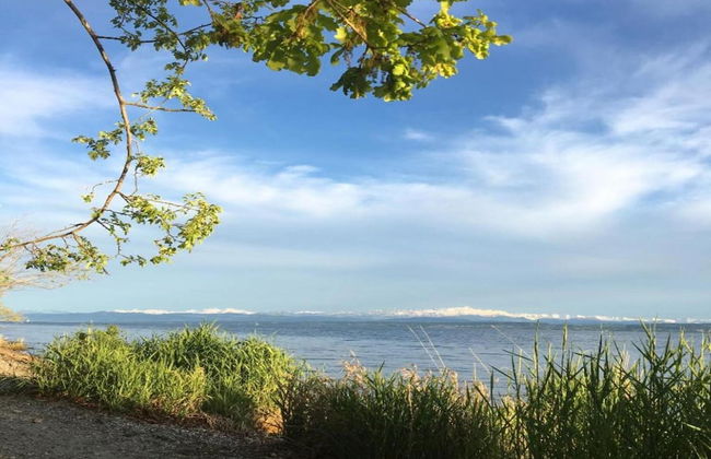 Spacious Apartment near Lake Constance with Covered Balcony - Foto 16