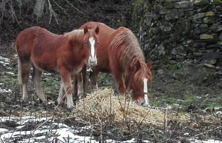 Apartamentos Turísticos Cabrera - Foto 6