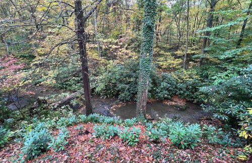 Bern's Summit Solitude: Stream-Front Serenity - Photo 2