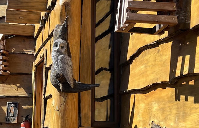 Cabañas Pewma Futrono - Foto 58