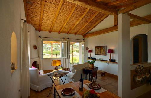 Auberge Santu Martine: cottage with pool (Vinza) - Foto 4