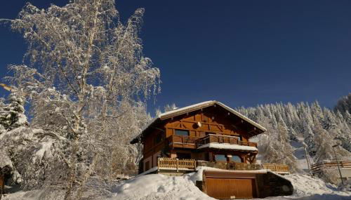 Les Saisies côté Bisanne appartement dans chalet LE Népal - Foto 3