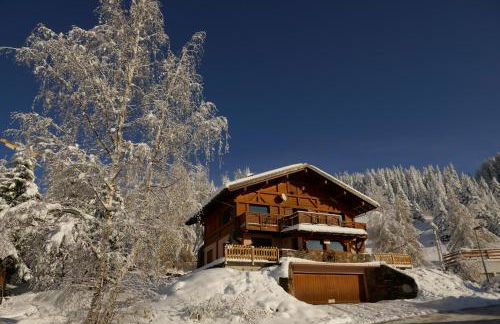 Les Saisies côté Bisanne appartement dans chalet LE Népal - Foto 3