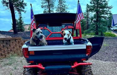 Amazing views near Strawberry Point! - Foto 17