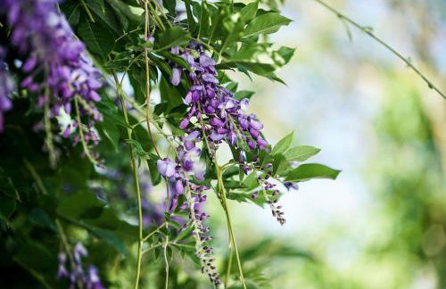 Casas de Santa Rita - Foto 44