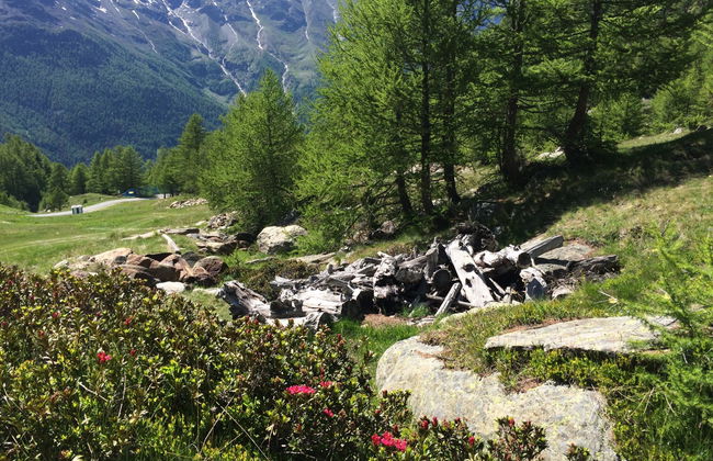 Chalet Sunstar Klein - Foto 29