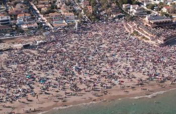 Palm Apartment - La Calma - Foto 41