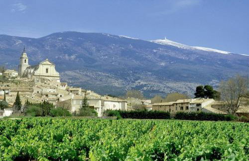 Villa Cantirane - Foto 52