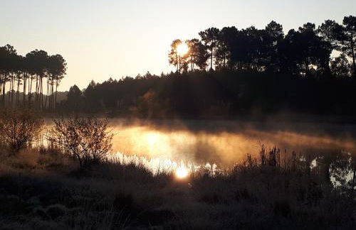 La chambre du Gaille - Foto 7