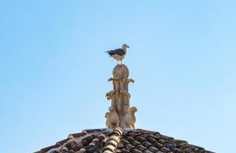 Luxury Apartment Matkovic - Photo 65