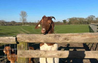 Nestledstays- The Lake House - Foto 20