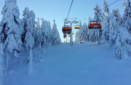 Ferienwohnung Familie Leupold - Foto 23