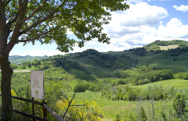 La Valle Dei Caprioli - B&B - Foto 31