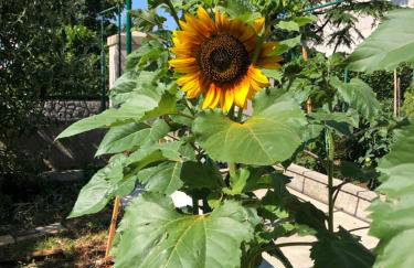 Casa Fiumana Laura - Photo 35