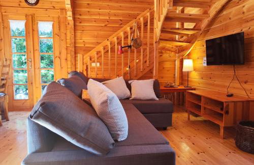 El Pi Solitari - Photo 3