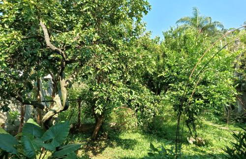 Refúgio Sereno São Seba - Foto 26