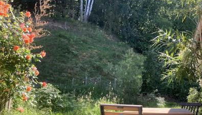 Kunst Ferienwohnung 200 Meter zum Elbesandstrand - Foto 2, Garden view