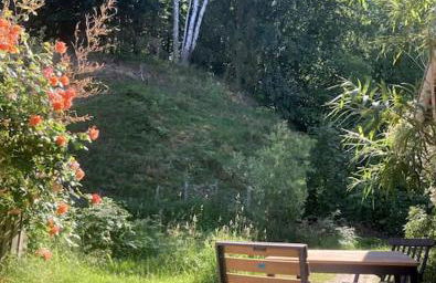 Kunst Ferienwohnung 200 Meter zum Elbesandstrand - Foto 2