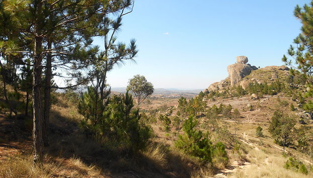Parque de Lémures y la colina de Antongona - Foto 4