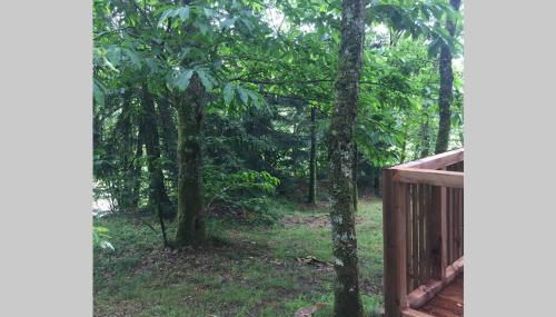 Adorable Cabane dans un espace boisé - Foto 3, Garden, Garden view