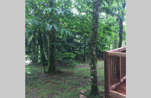 Adorable Cabane dans un espace boisé - Foto 3