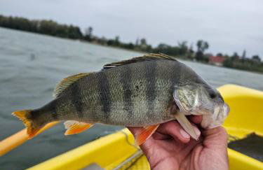 Gościniec Wędkarski Sieja - Foto 32