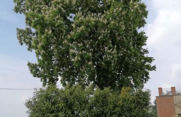 Casa Vacanze San Stefanetto - Foto 50