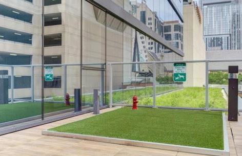 River N 1BR w Gym WD nr Mag Mile by Bluegound CHI-127 - Photo 28