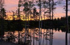 Wolf Pond 2 ONLY 3 Miles to Lake Placid - Foto 14