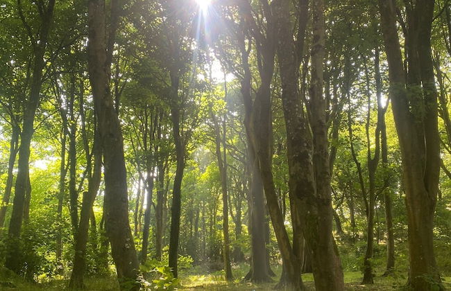 Original Vintage Spirit Alpine Caravan Anglesey - Photo 8