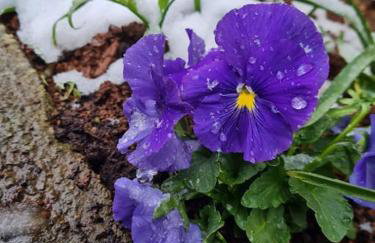 Zgora mora-above the sea-peacefull,family frendly - Foto 31