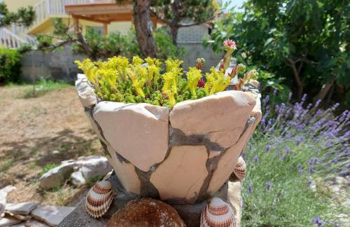 Apartmani Ciprijan - Foto 13