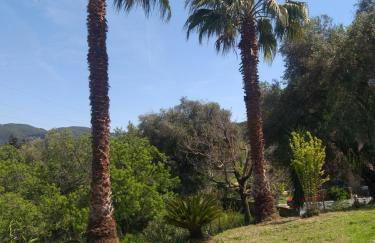 Green Hill House - Foto 10