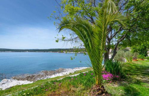 Apartman Lidija Koromačno - Foto 19