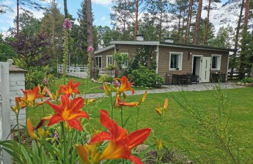 Sosnowy Azyl - Foto 70