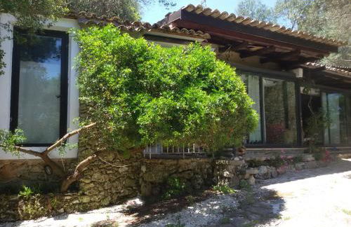 Limonaia in Salento - Foto 7