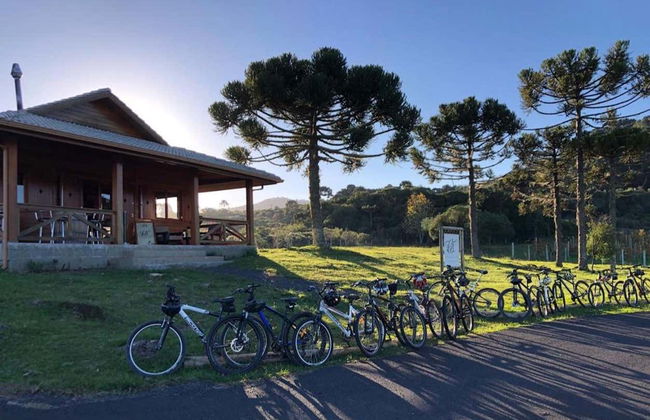 Tour de bicicleta pelos vinhedos da vinícola Villaggio Bassetti com degustação - Foto 8