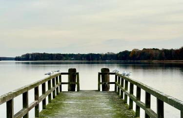 Finnhütte Louise am Storkower See - Foto 49