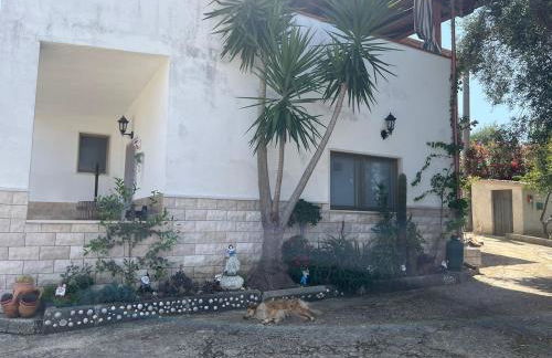 La Casa Del Nonno - Foto 35