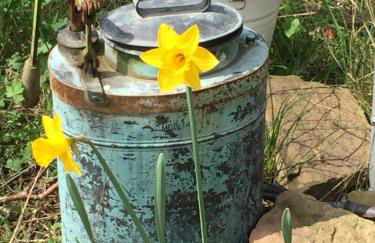 Hagwaldhof - Foto 28