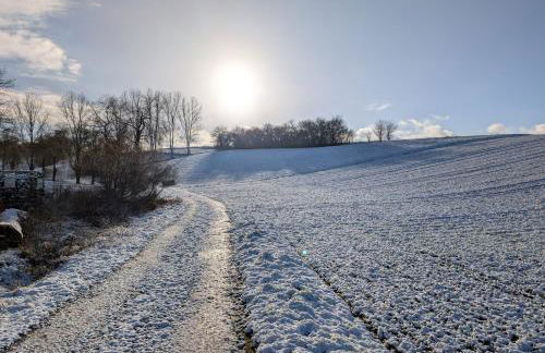 Schrauts Unwesen - Photo 42