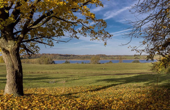 Holiday Apartment in Klein Upahl - Photo 16