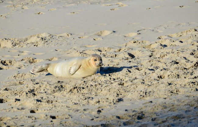 Apartment in Vlissingen Near Sandy Beach - Foto 14