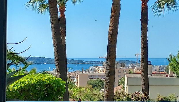 Alexandra Palace - Foto 5, View